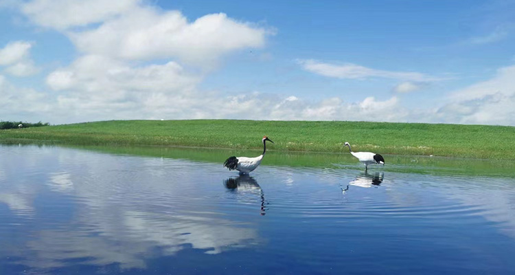 電解水制氫設備廠家帶小伙伴們了解電解水制氫enapter公司核心設備