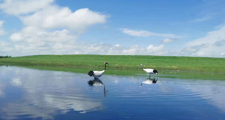 電解水制氫整流電源與工藝控制柜